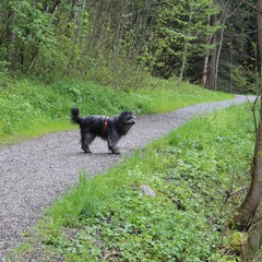 02 Im Mai im Allgäu